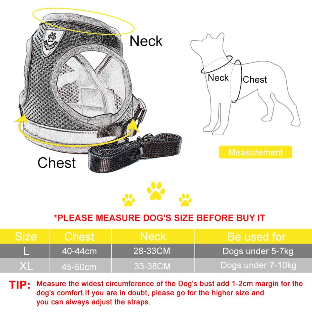 Qpets Dog Vest Harness for Puppy with 1.2m Dog Leash Adjustable Size Dog Vest Harness Breathable Mesh Fabric with Safety Reflective Strip Dog Harness for Small Medium Dogs Qpets Dog Vest Harness for Puppy with 1.2m Dog Leash Adjustable Size Dog Vest Harness Breathable Mesh Fabric with Safety Reflective Strip Dog Harness for Small Medium Dogs